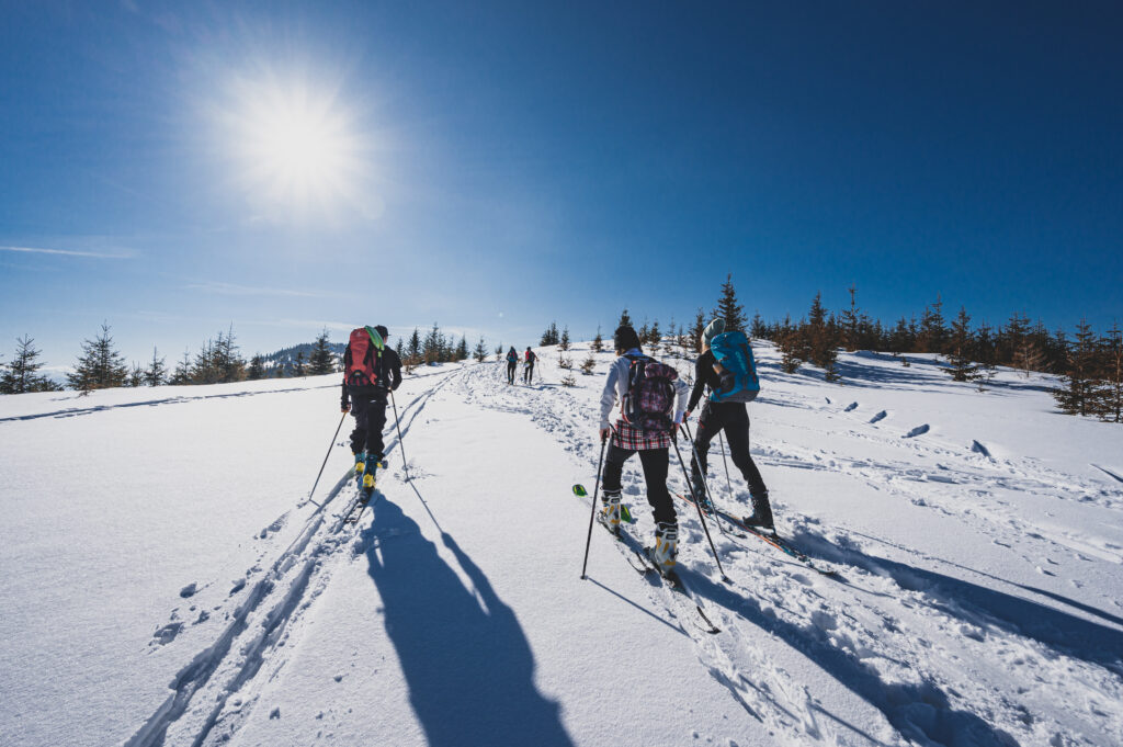mountaineer-backcountry-ski-walking-ski-alpinist-mountains-ski-touring-alpine-landscape-with-snowy-trees-adventure-winter-sport